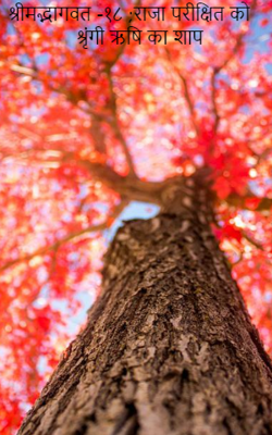 श्रीमद्भागवत -१८ ;राजा परीक्षित को श्रृंगी ऋषि का शाप