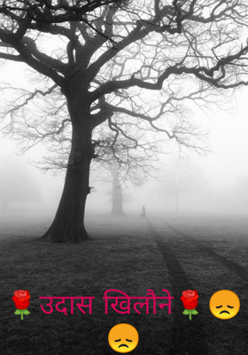 🌹उदास खिलौने🌹😞😞