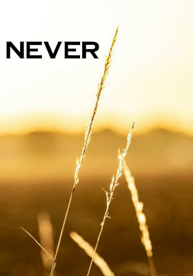 Never