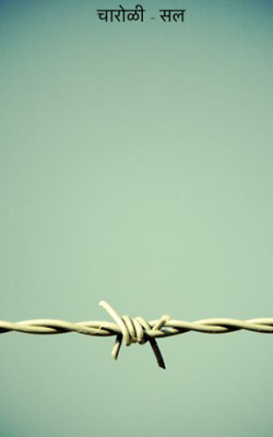 चारोळी - सल