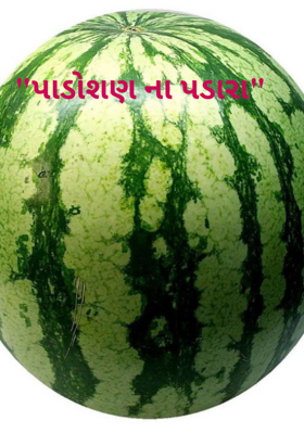 પાડોશણ ના પડારા