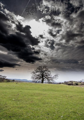 बूढ़ी काकी