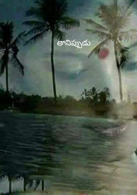 తానిప్పుడు