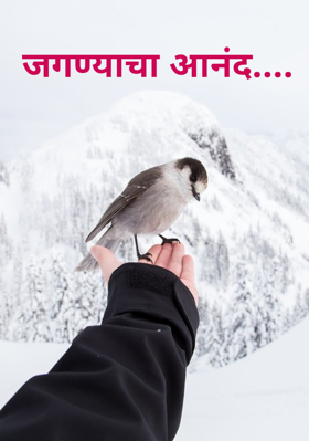 जगण्याचा आनंद....