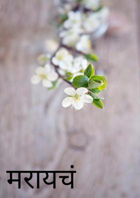 मरायचं