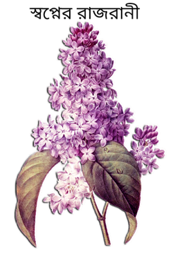 স্বপ্নের রাজরানী