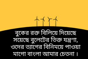 বুকের রক্ত বিলিয়ে দিয়েছে
সয়েছে বুলেটের তিক্ত যন্ত্রণা,
ওদের ত্যাগের বিনিময়ে পাওয়া
মাগো বাংলা আমার চেতনা ।