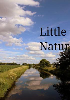 Little Things of Nature