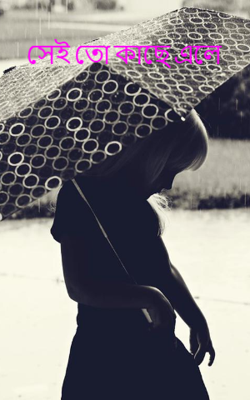 সেই তো কাছে এলে