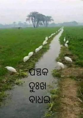 ପଞ୍ଚକ ଦୁଃଖ ବାଧଇ