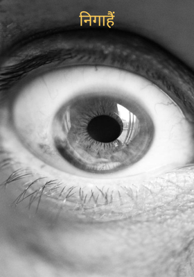 निगाहें