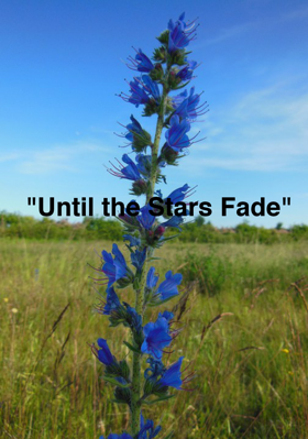 "Until the Stars Fade"