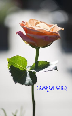 ଦେଖିବା ଚାଲ