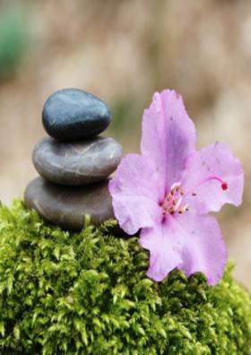 फायदा ( चारोळी )