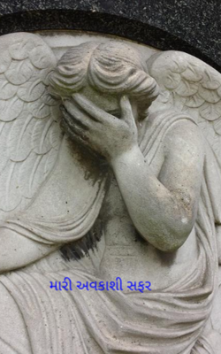 મારી અવકાશી સફર