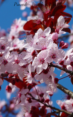 Proverb - Health Is Wealth