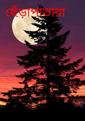 ছেঁড়াপাতারা