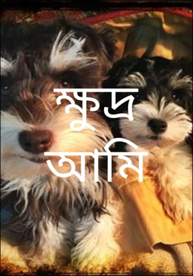 ক্ষুদ্র আমি