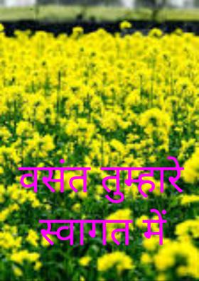 वसंत तुम्हारे स्वागत में