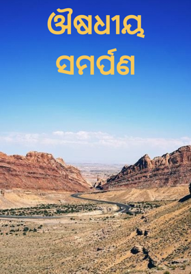 ଔଷଧୀୟ ସମର୍ପଣ