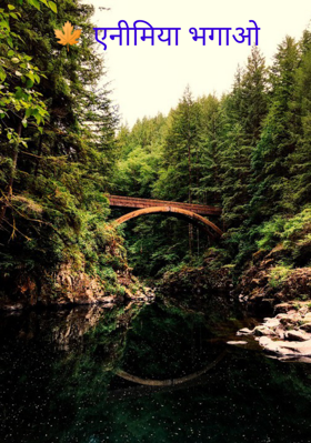 एनीमिया भगाओ