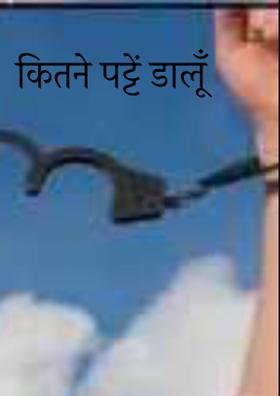 कितने पट्टे डालूँ