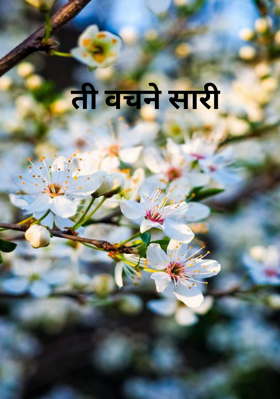 ती वचने सारी