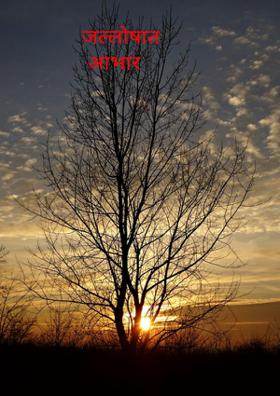 जल्लोषात आभार