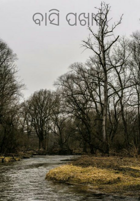 ବାସି ପଖାଲ୍