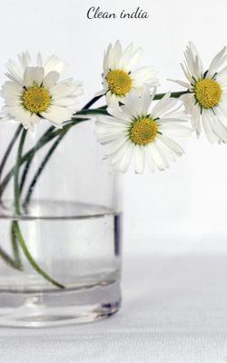 Clean India
