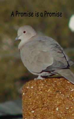 A Promise Is A Promise