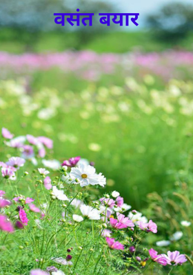 वसंत बयार