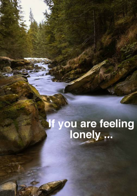 If You Are Feeling Lonely ...