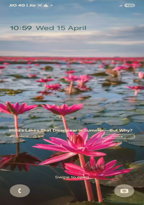 Lotus flower