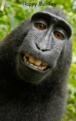 Happy Monkey