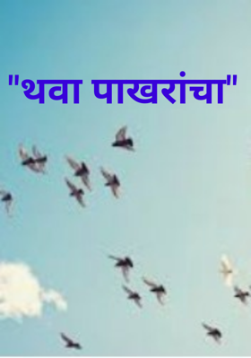 थवा पाखरांचा