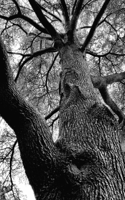 ଅନ୍ଧବିଶ୍ବାସର ଆଶଙ୍କା