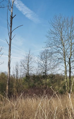 திருக்குறள்