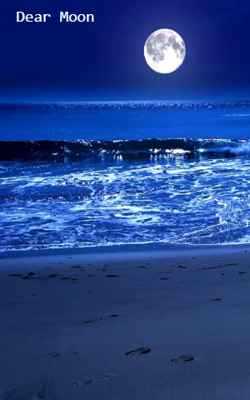 Dear Moon