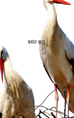 बसंत ऋतु