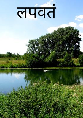 लपवतं