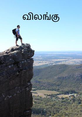 விலங்கு