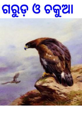 ଗରୁଡ଼ ଓ ଚକୁଆ