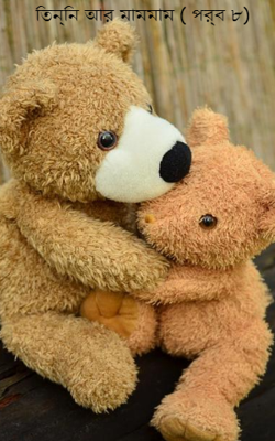 তিন্নি আর মামমাম ( পর্ব ৮)