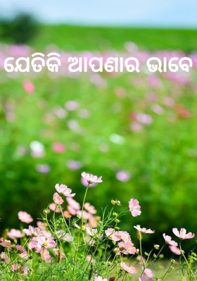 ଯେତିକି ଆପଣାର ଭାବେ