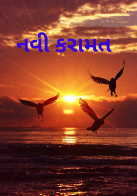 નવી કરામત