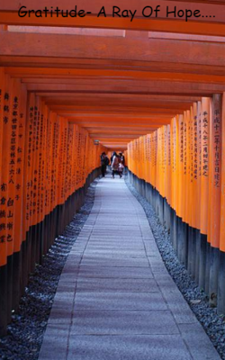 Gratitude- A Ray Of Hope....