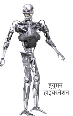 ह्यूमन हाइबरनेशन