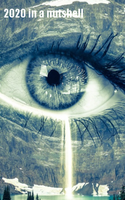 2020 in a nutshell