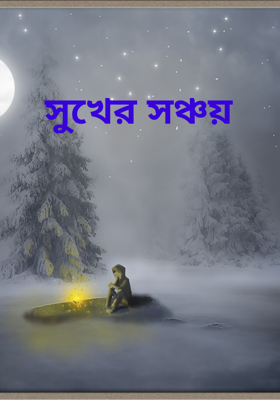 সুখের সঞ্চয়